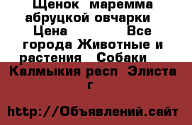 Щенок  маремма абруцкой овчарки › Цена ­ 50 000 - Все города Животные и растения » Собаки   . Калмыкия респ.,Элиста г.